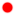 prik_red.gif